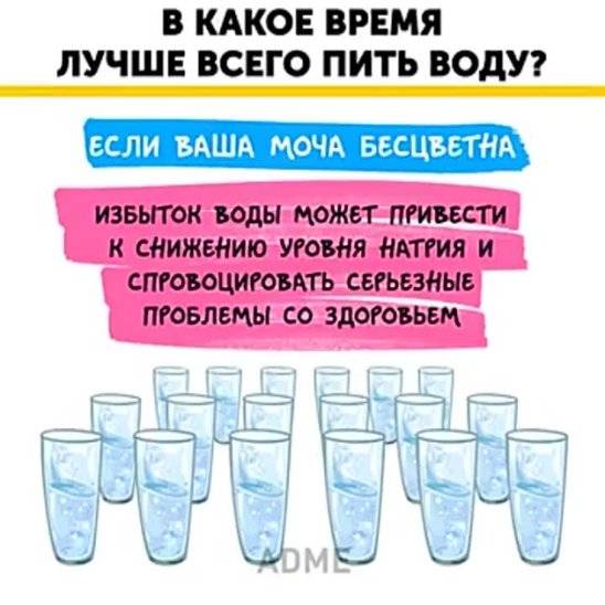 Как правильно пить воду по часам