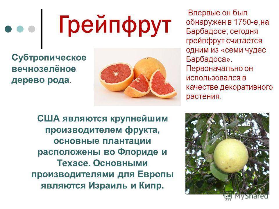 Грейпфрут - вред и полезные свойства. чем полезен грейпфрут для организма мужчины и женщины. » сусеки