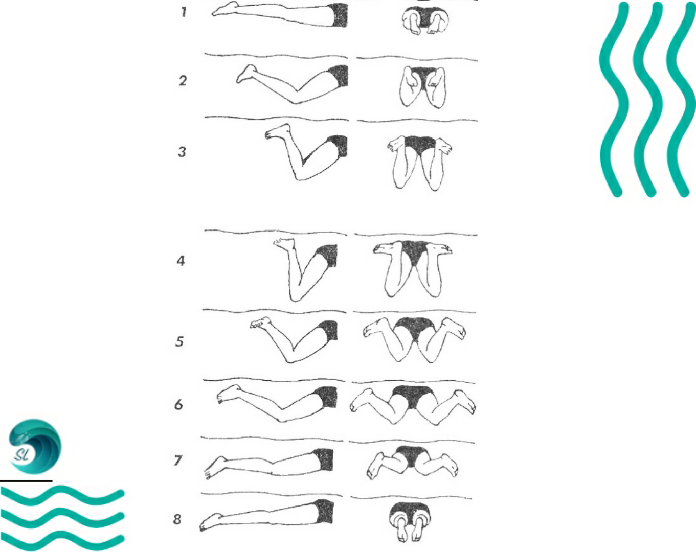 Схема техники плавания брассом. Техника плавания ноги брасс техника. Упражнения для ног в плавании брассом. Брасс техника плавания схема. Плавание брассом для начинающих видео