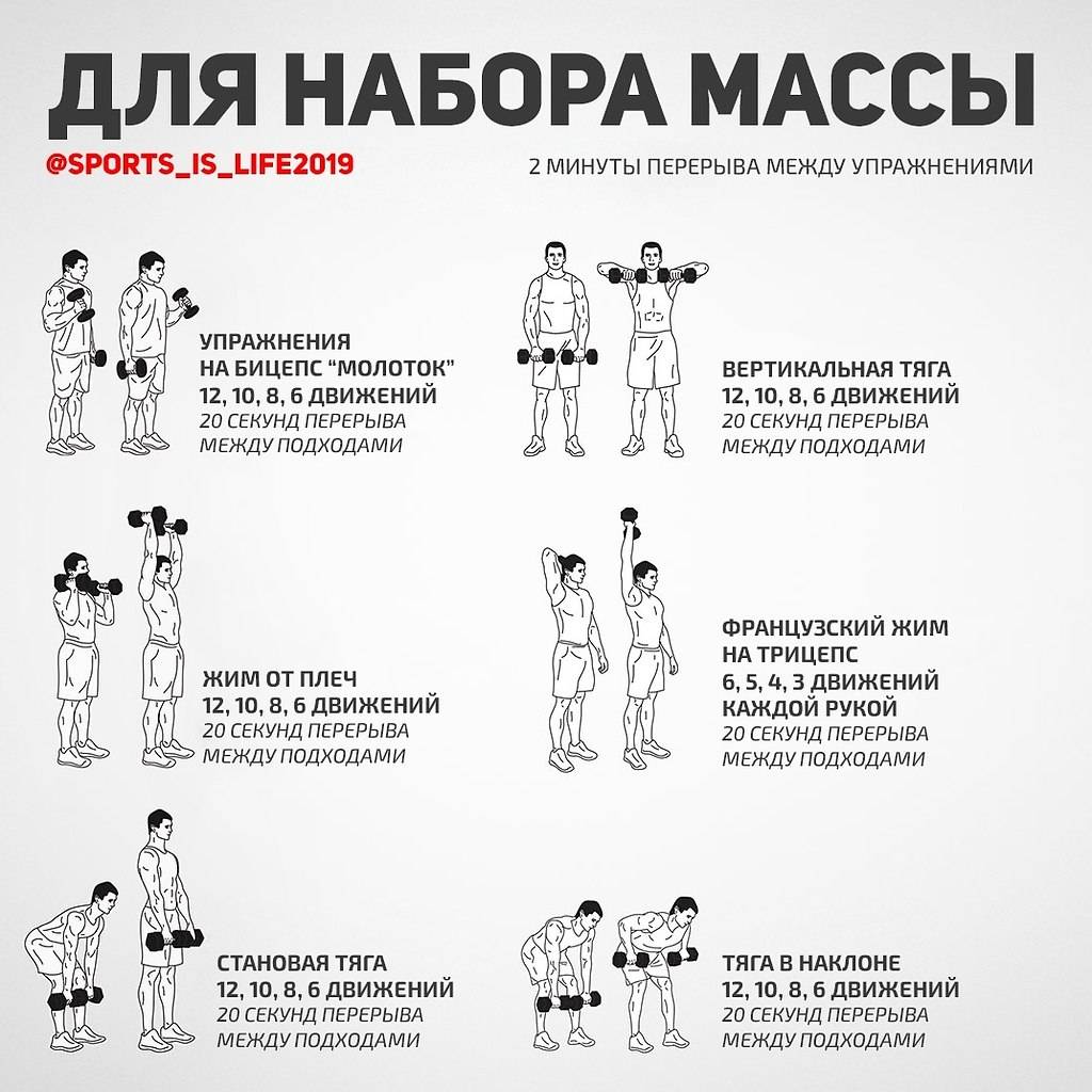 Базовые упражнения для набора мышечной массы - бомба тело