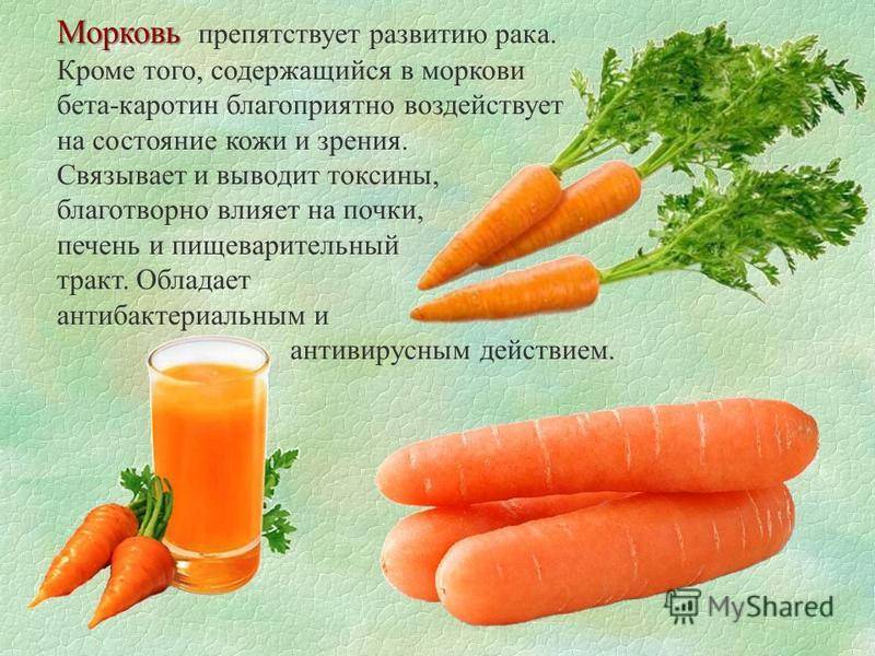 Морковь в меню человека: состав и полезные свойства продукта