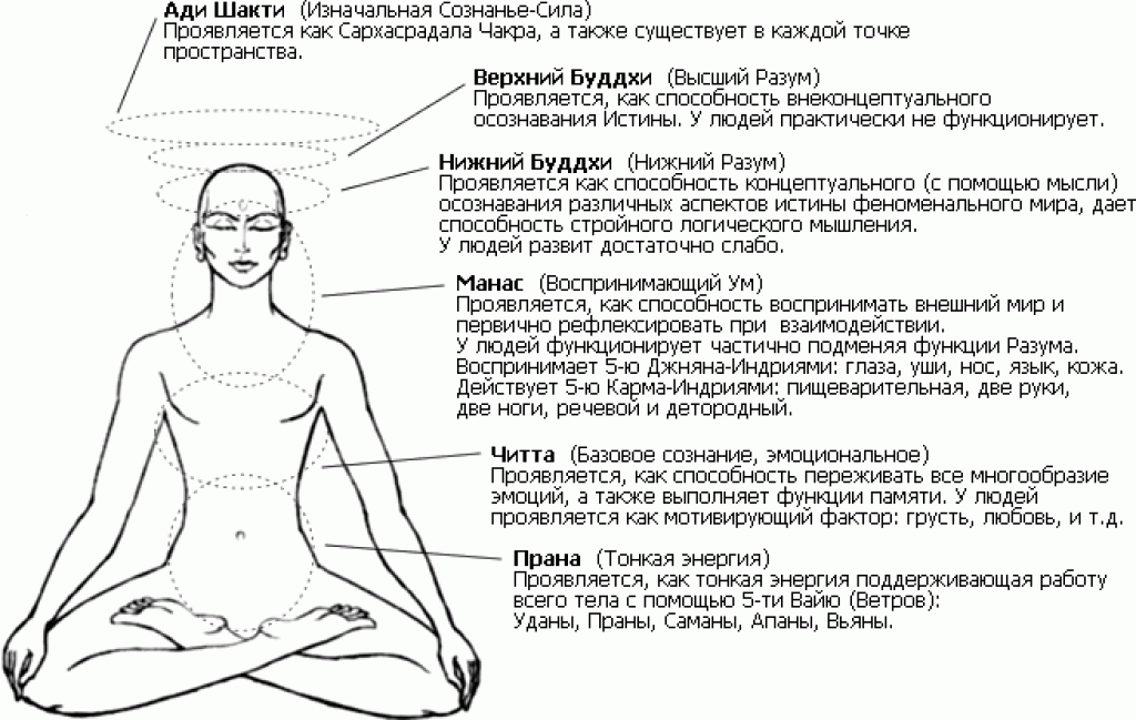 Что такое раджа-йога?