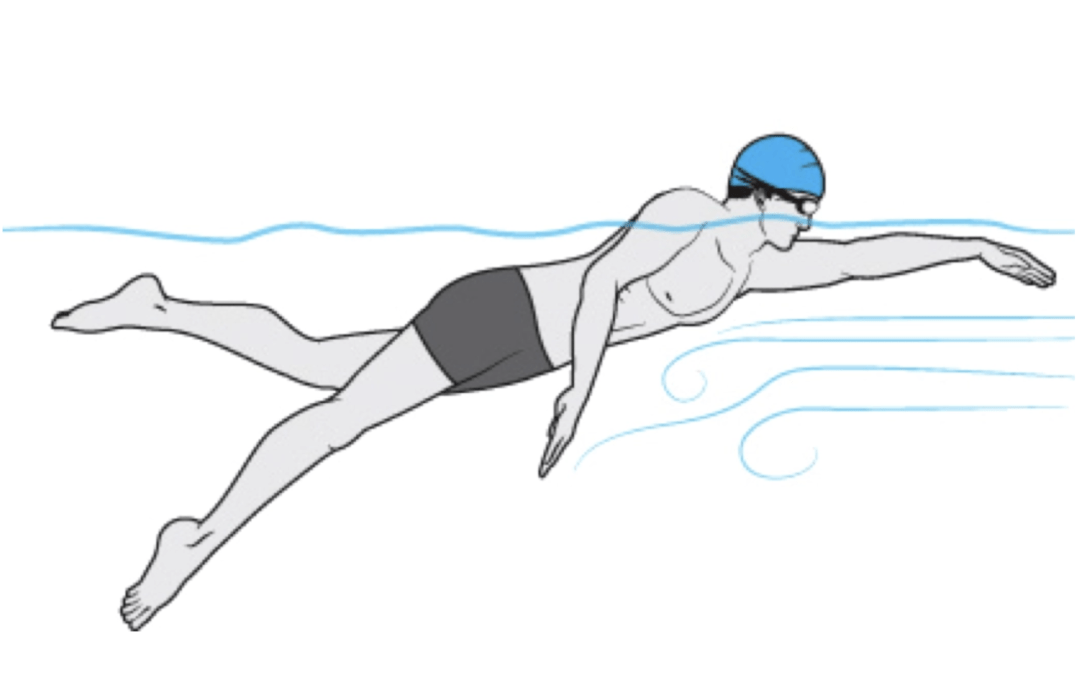 Как правильно плавать брассом?