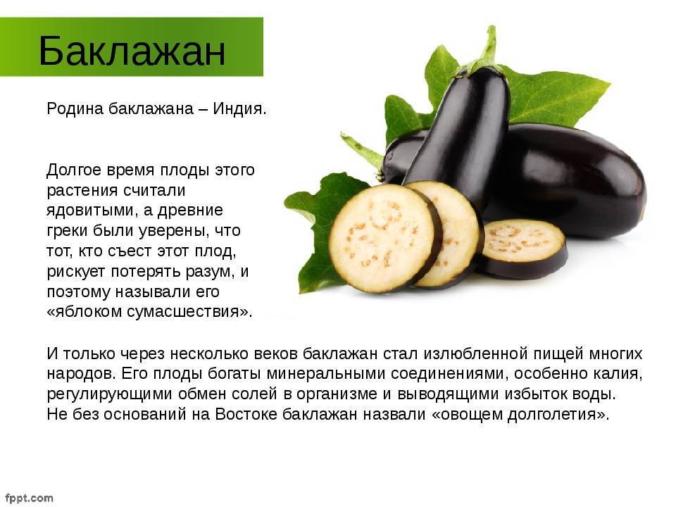 Полезные свойства баклажана, состав и калорийность баклажана, польза баклажана при похудении - sportobzor.ru