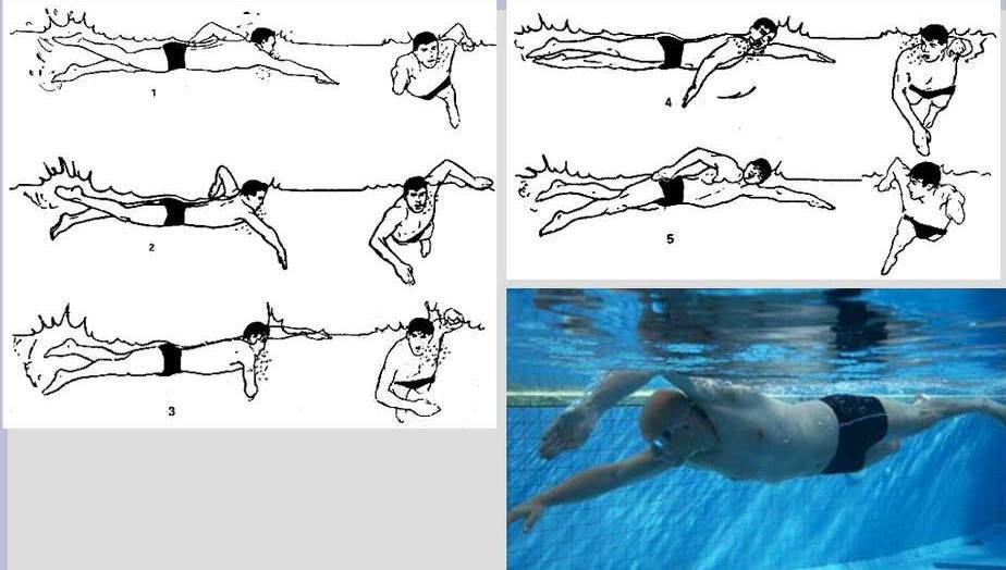 Как научить плавать взрослого человека - wikihow