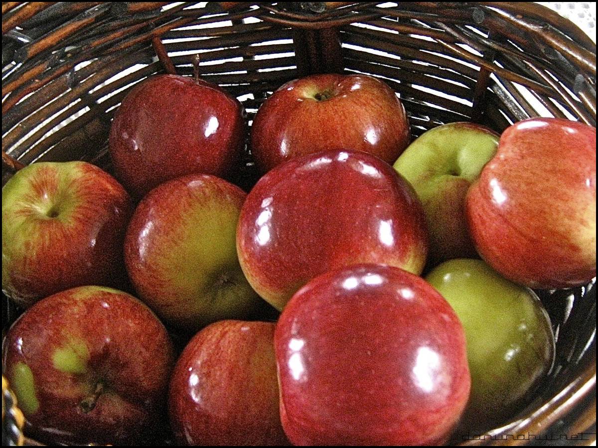 Воск на яблоках и других фруктах: зачем покрывают и не вреден ли
