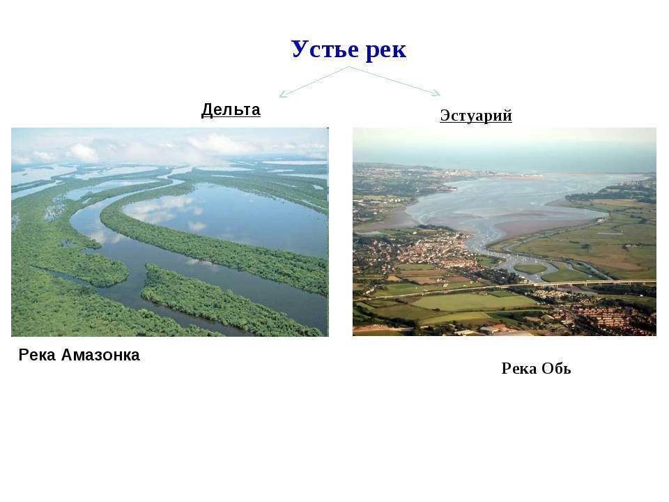 Дельта реки обь