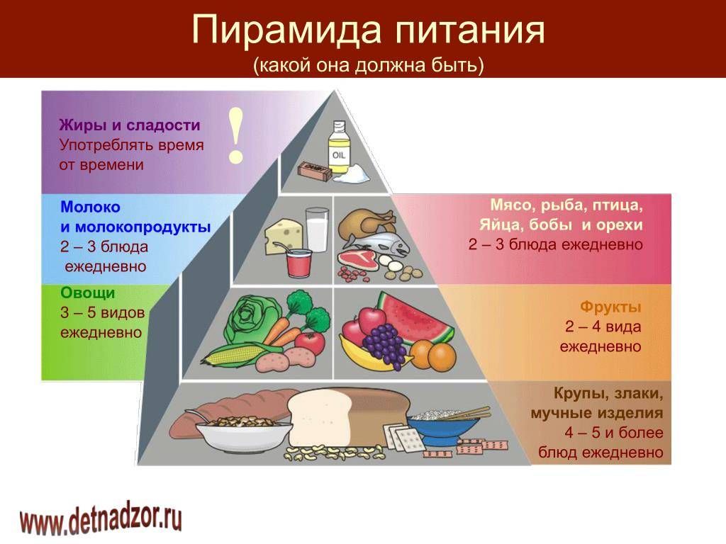 Суточный рацион питания человека: таблица продуктов для взрослого человека, как составить меню на завтрак, обед, ужин