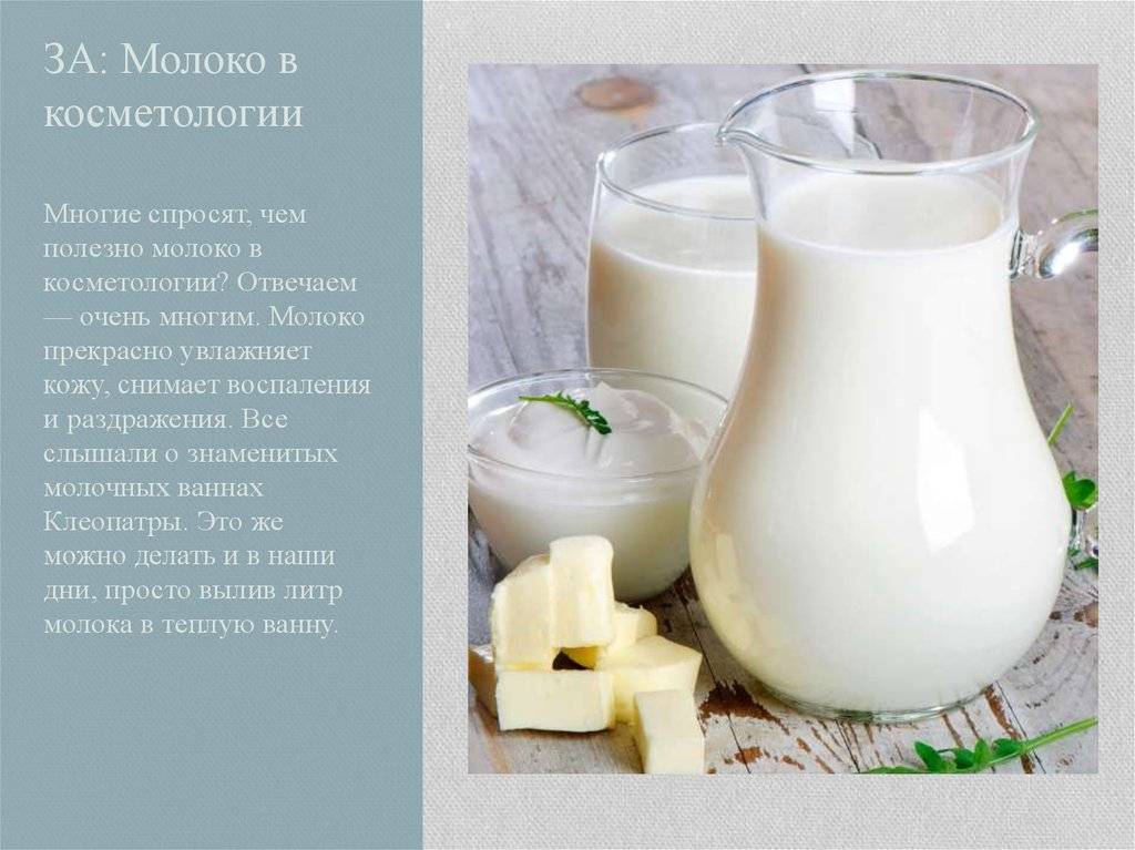 У кого самое жирное молоко. Молоко домашнее. Молочных продуктах. Молоко полезный продукт. Чем полезно молоко.