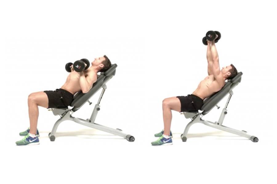 Жим гантелей на наклонной скамье: видео обзор + тренировки мышц груди в схемах и фото