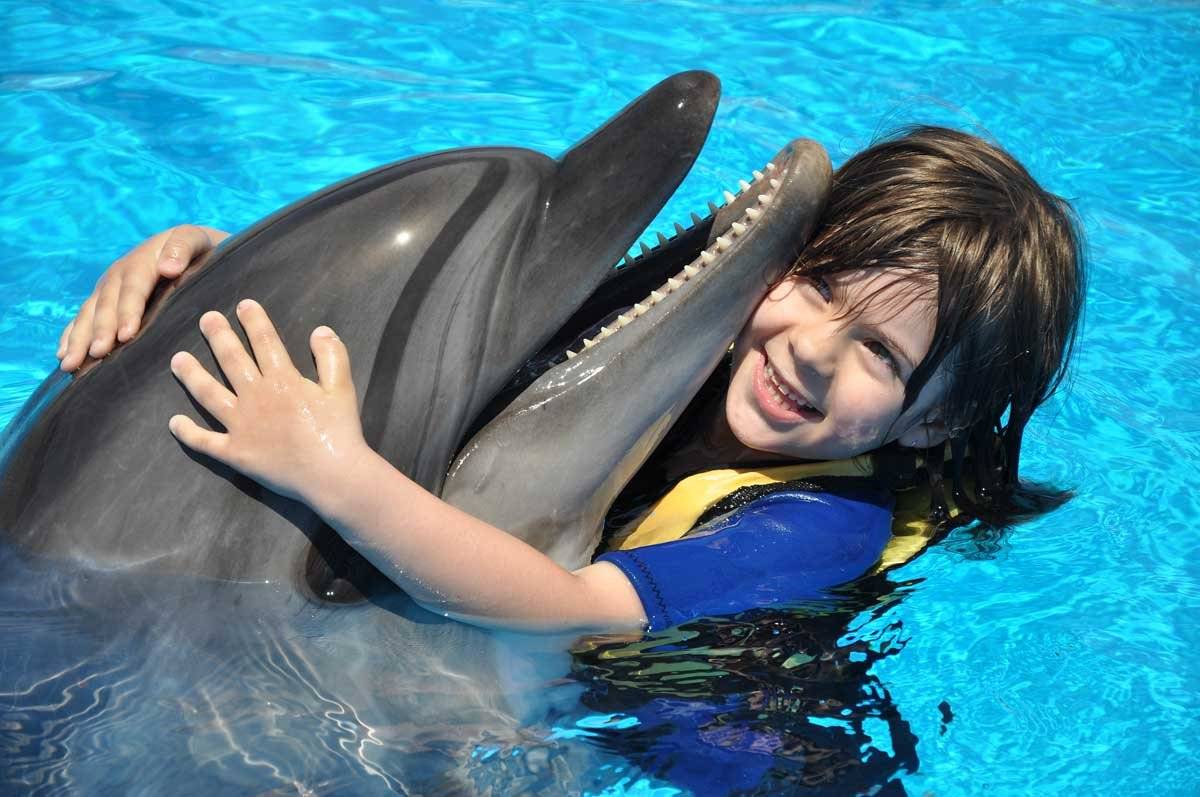О дельфинотерапии. зачем людям плавать с дельфинами?