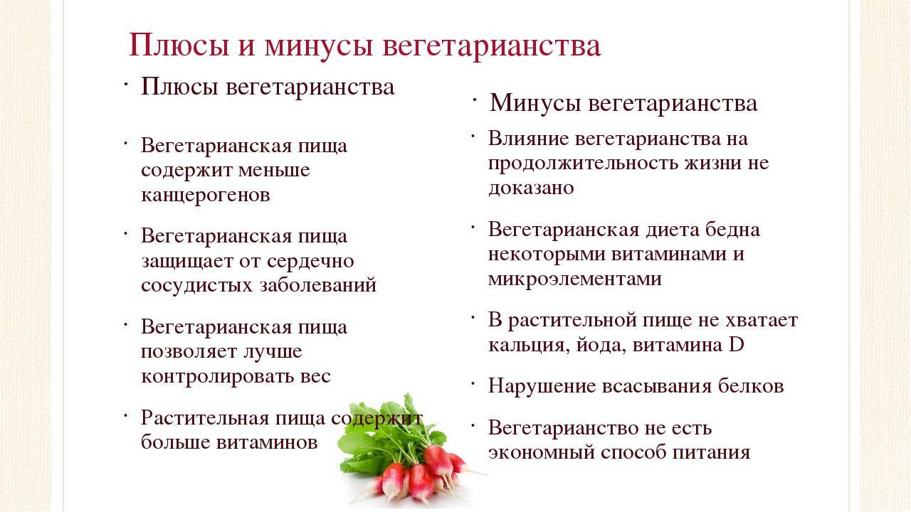 Вегетарианство польза и вред, 5 мифов о вегетарианстве