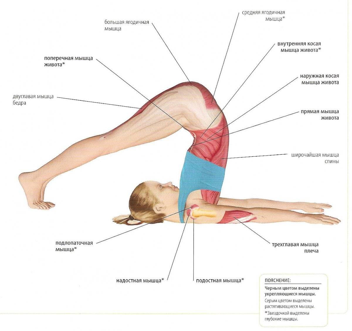 Поза шавасана в йоге: польза и техника выполнения. шавасана — поза для расслабления