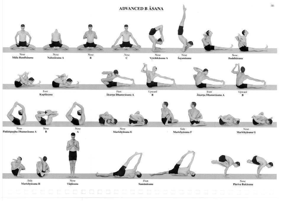 Упражнения для начинающих инь йоги: видео-уроки, что это за направление и его принципы