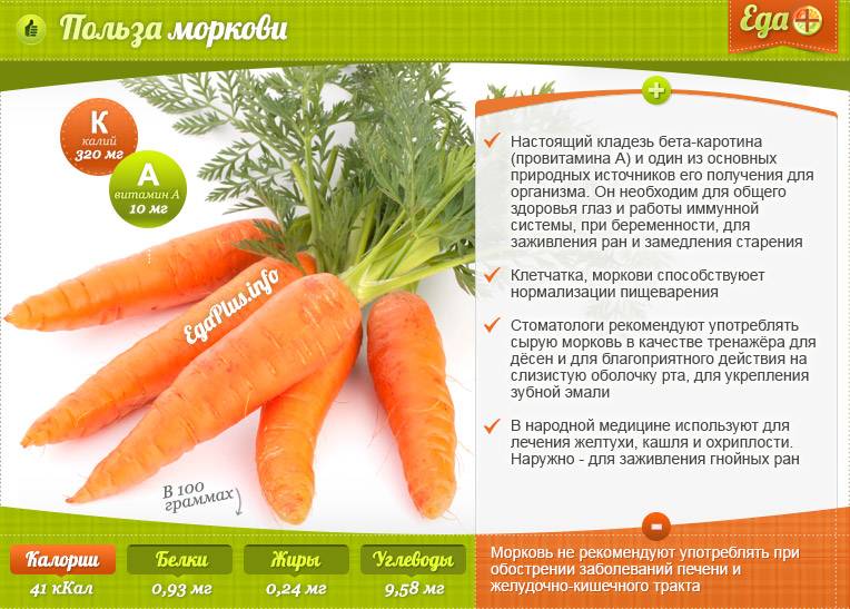 Морковь. Оранжевый источник красоты и здоровья