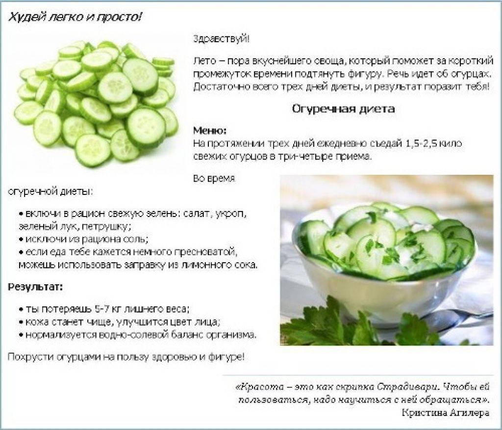 Огуречная диета: меню, особенности, результаты, отзывы - dietpick.ru