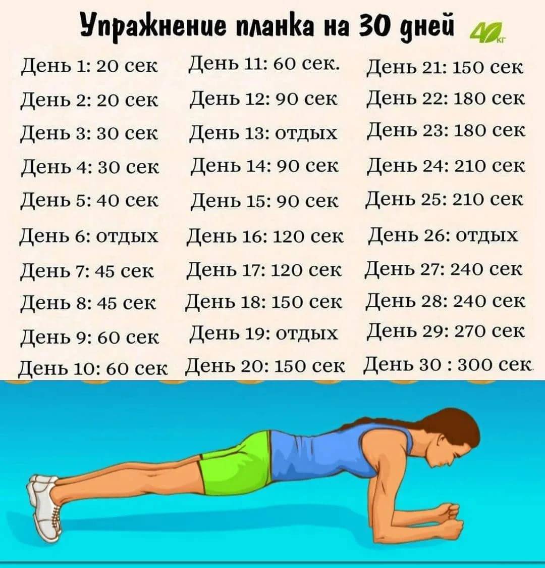 Упражнение планка: как правильно делать, сколько раз в день делать планку - glamusha