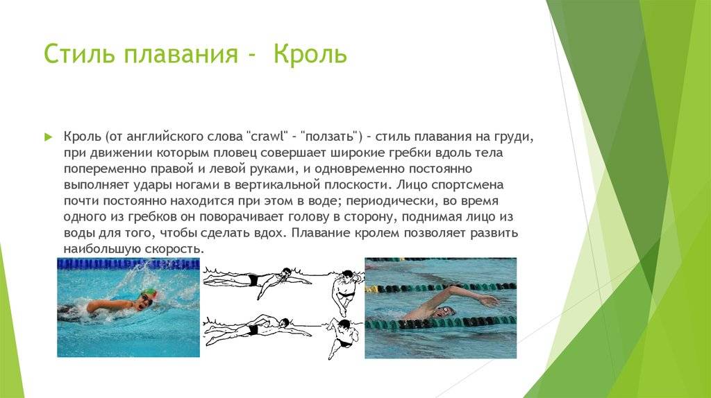 Сайт о плавании: классификация, виды плавания