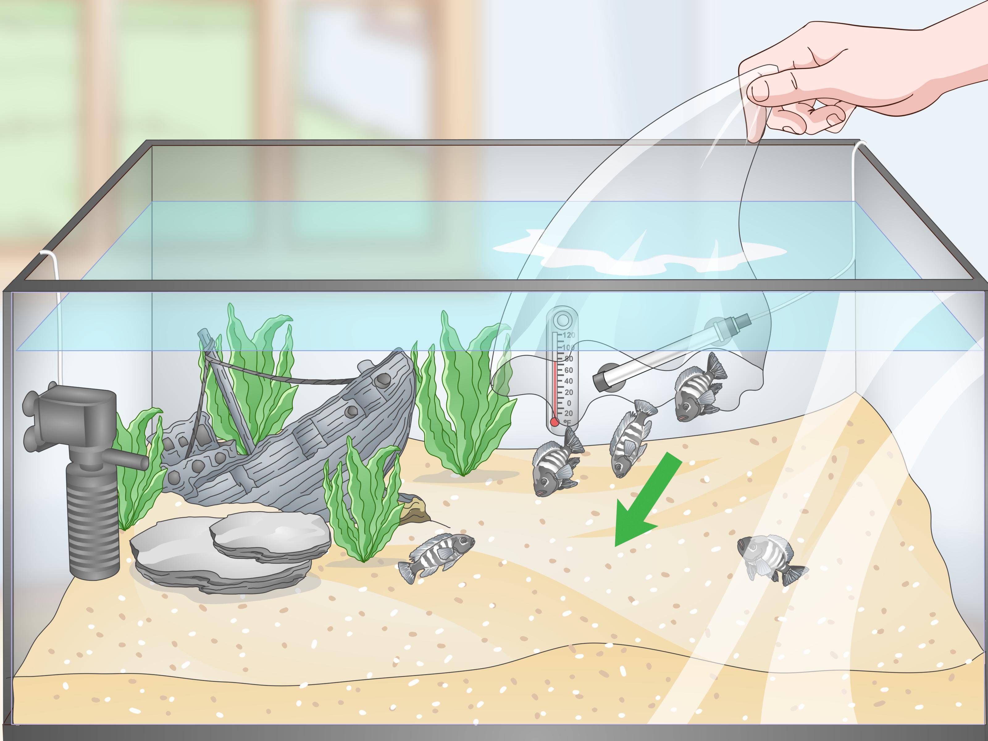 Аэрация аквариума: нужна ли в аквариуме, способы подачи
