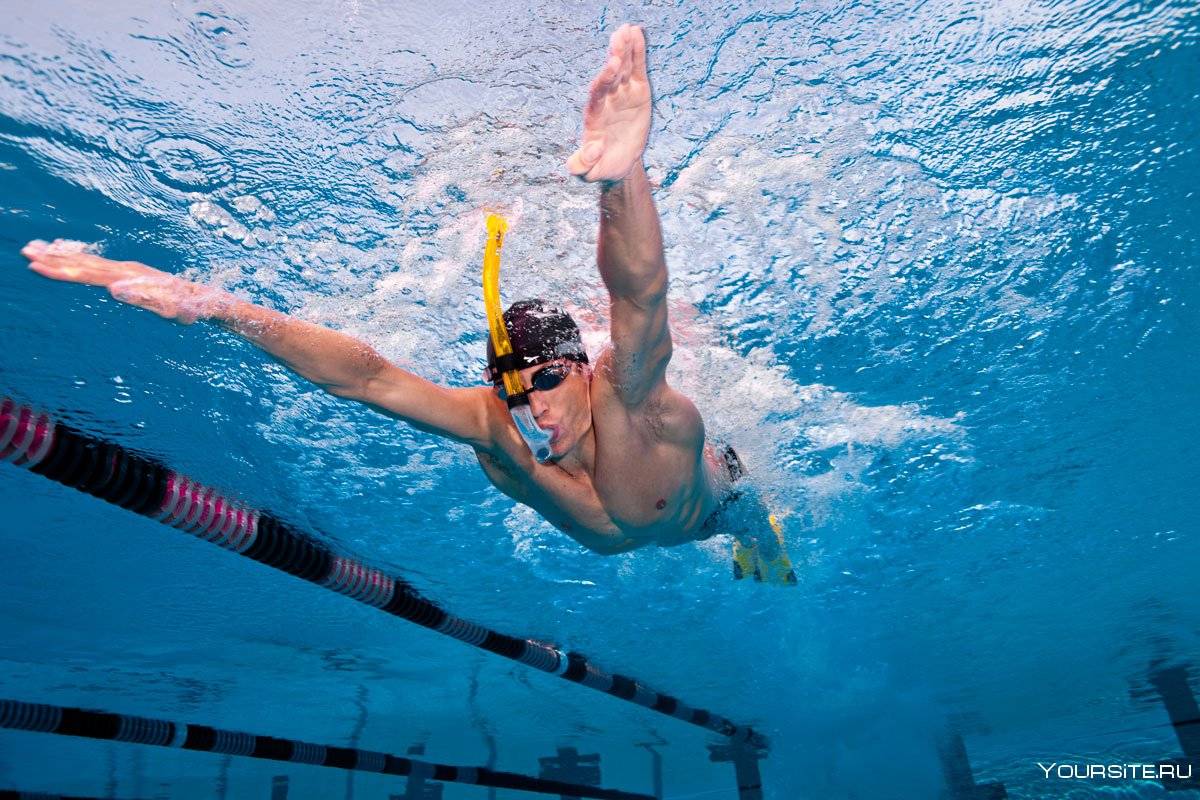 Техника плавания брассом для начинающих: как правильно плавать этим стилем, движения ног и рук пошагово, видео, ошибки и советы