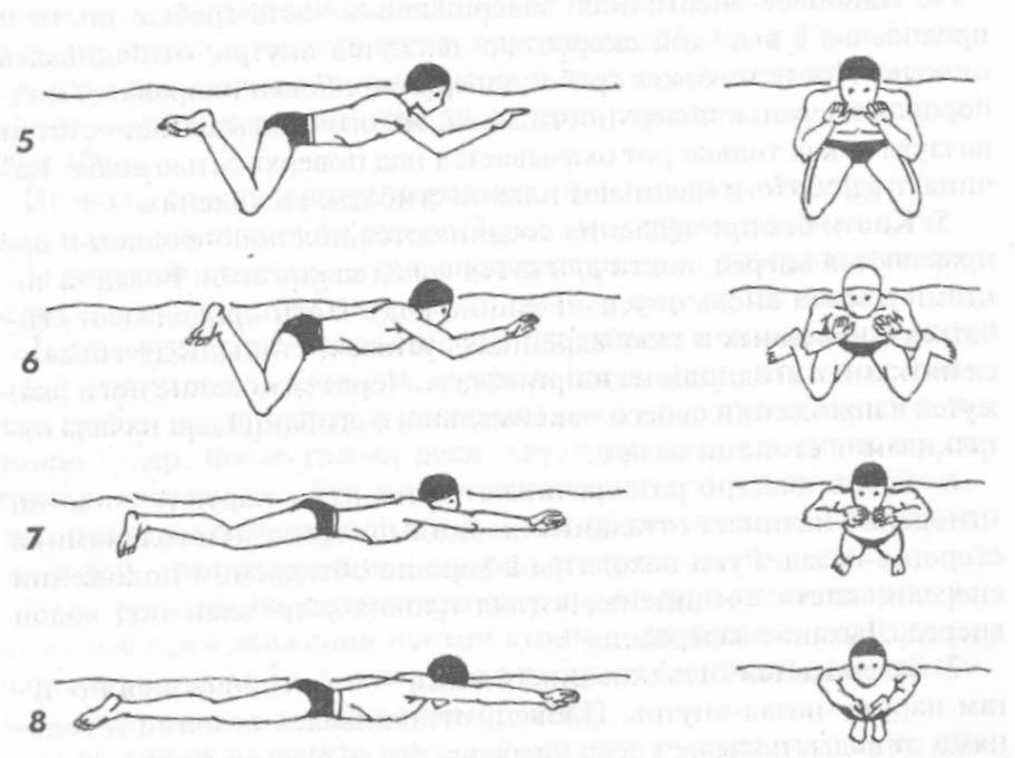 Как правильно плавать брассом, описание классической техники и вариаций