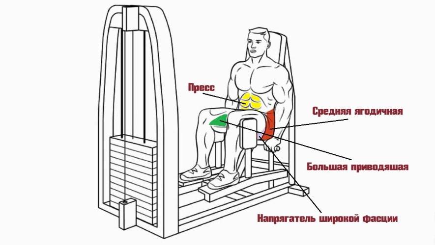 Разведение ног в тренажере: техника сидя и стоя, чем заменить в домашних условиях