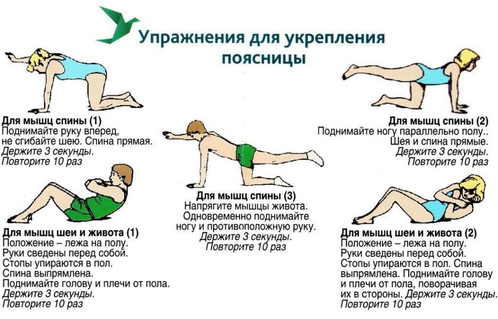 Упражнения для укрепления мышц поясничного отдела позвоночника