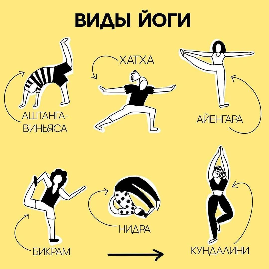 Виды йоги: как правильно выбрать направление? – the base