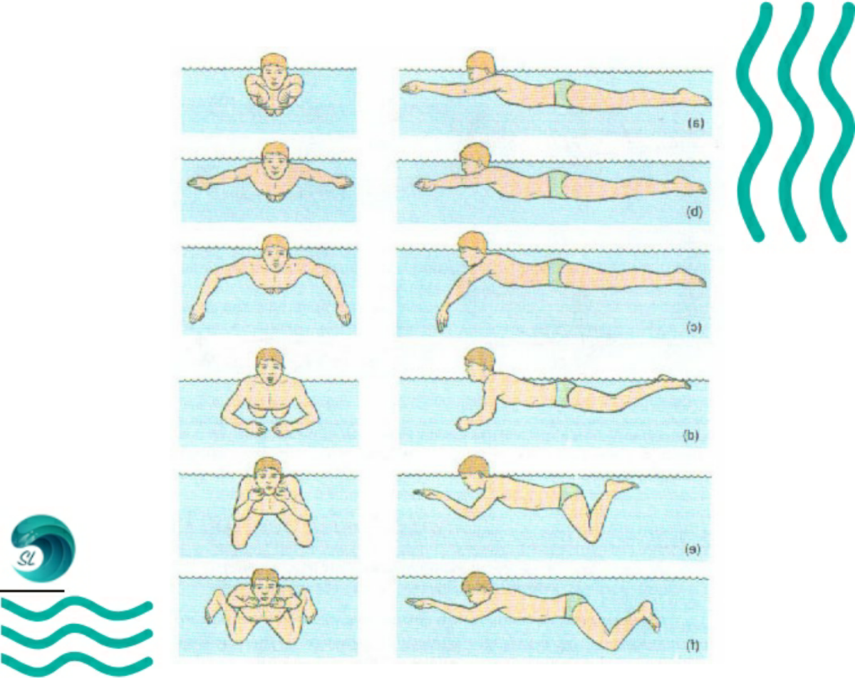 Как самостоятельно научиться плавать взрослому человеку: пошаговый план действий, список упражнения для бассейна + самые частые ошибки