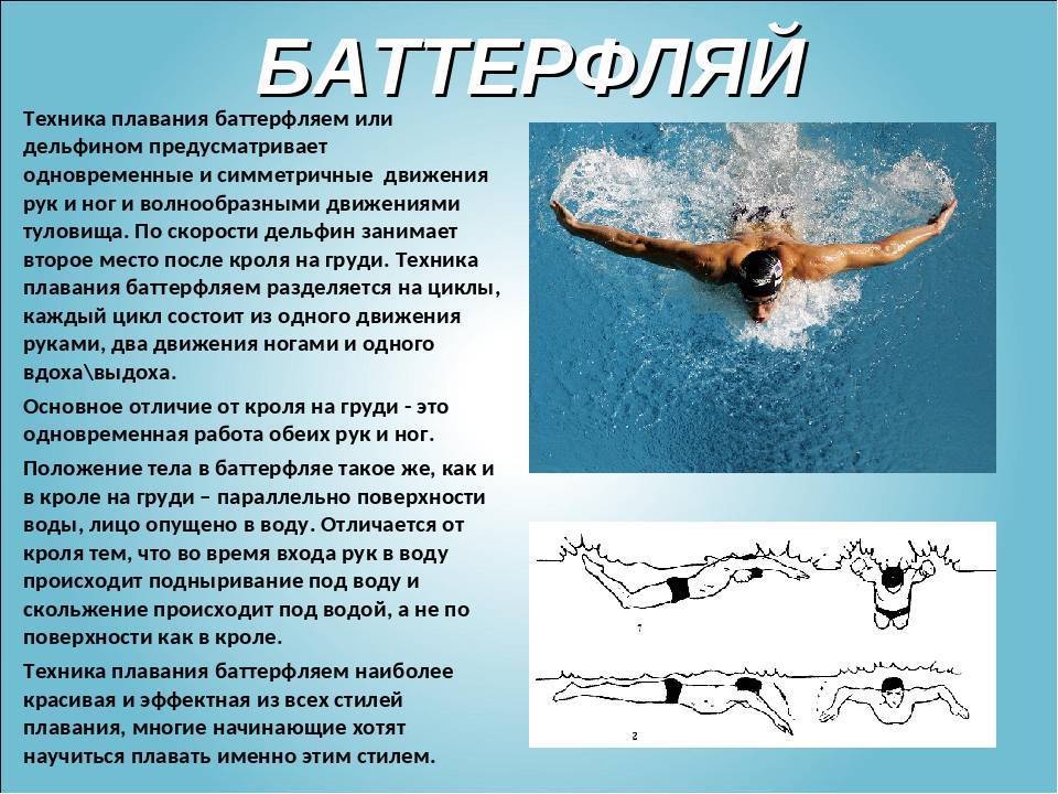 Техника плавания брассом | спортивное плавание