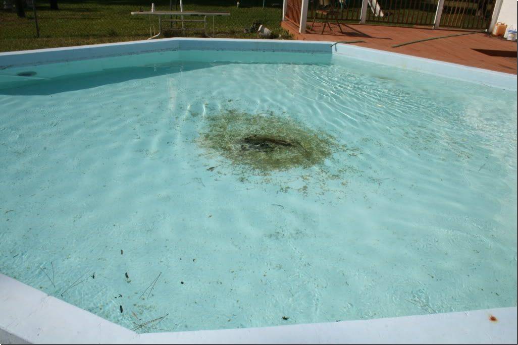 Вода в бассейне позеленела, несмотря на хлор: что делать?
