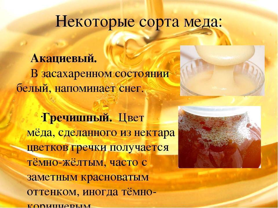 Сколько грамм меда в чайной ложке: жидкого, густого, засахаренного, без горки, таблица