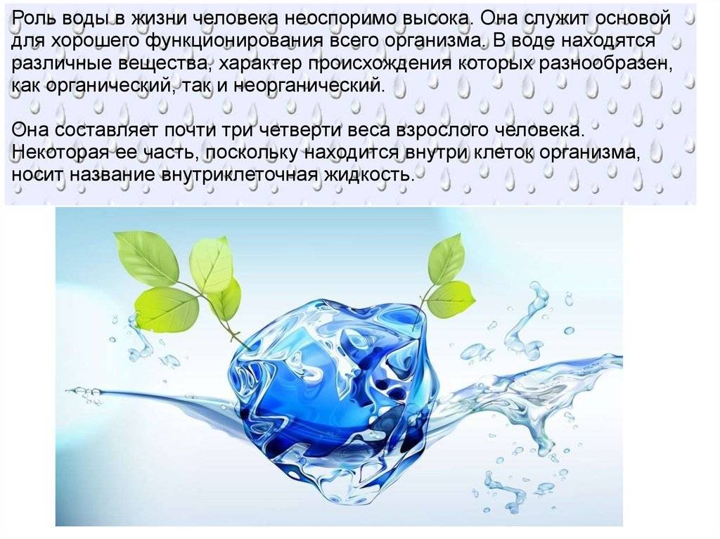 Роль воды в природе и жизни человека - степановских а.с. экология. учебник для вузов