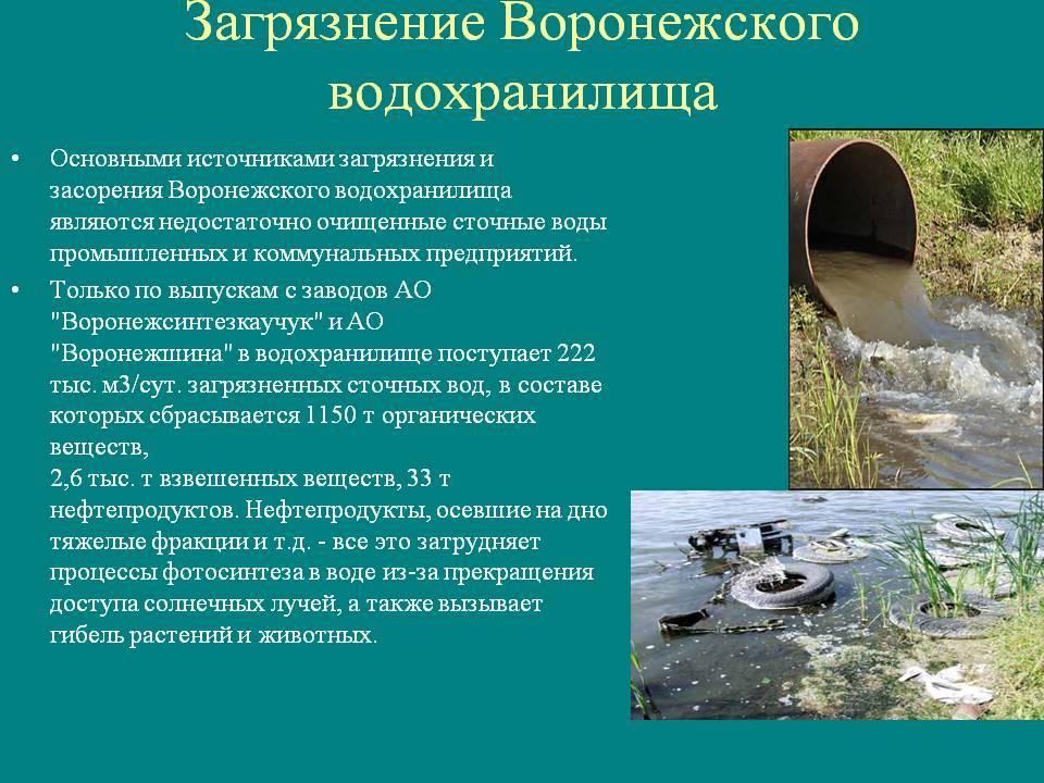 Реферат на тему: охрана водоёмов от загрязнения способы защиты