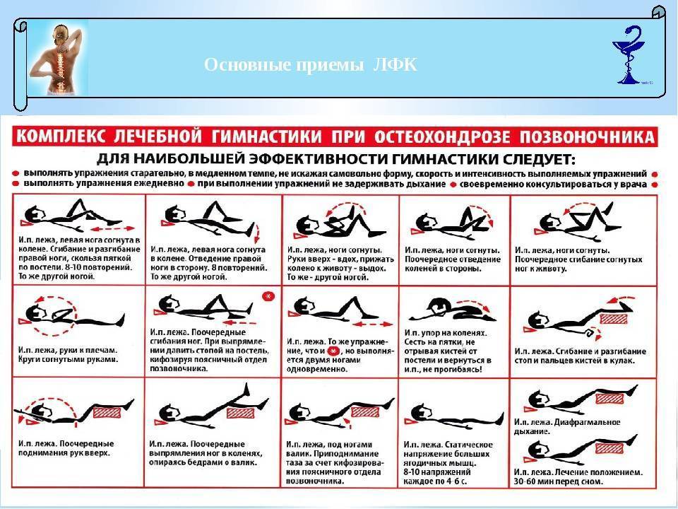 Гимнастика для спины при остеохондрозе: комплексы упражнений