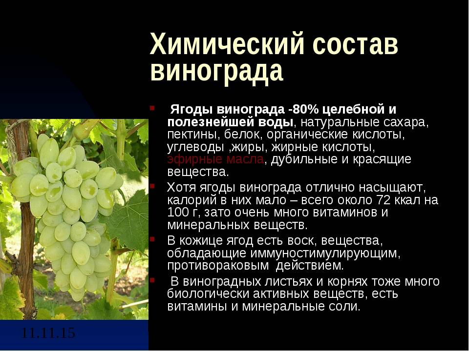 Польза винограда — 10 фактов о его влиянии на организм человека, состав и противопоказания