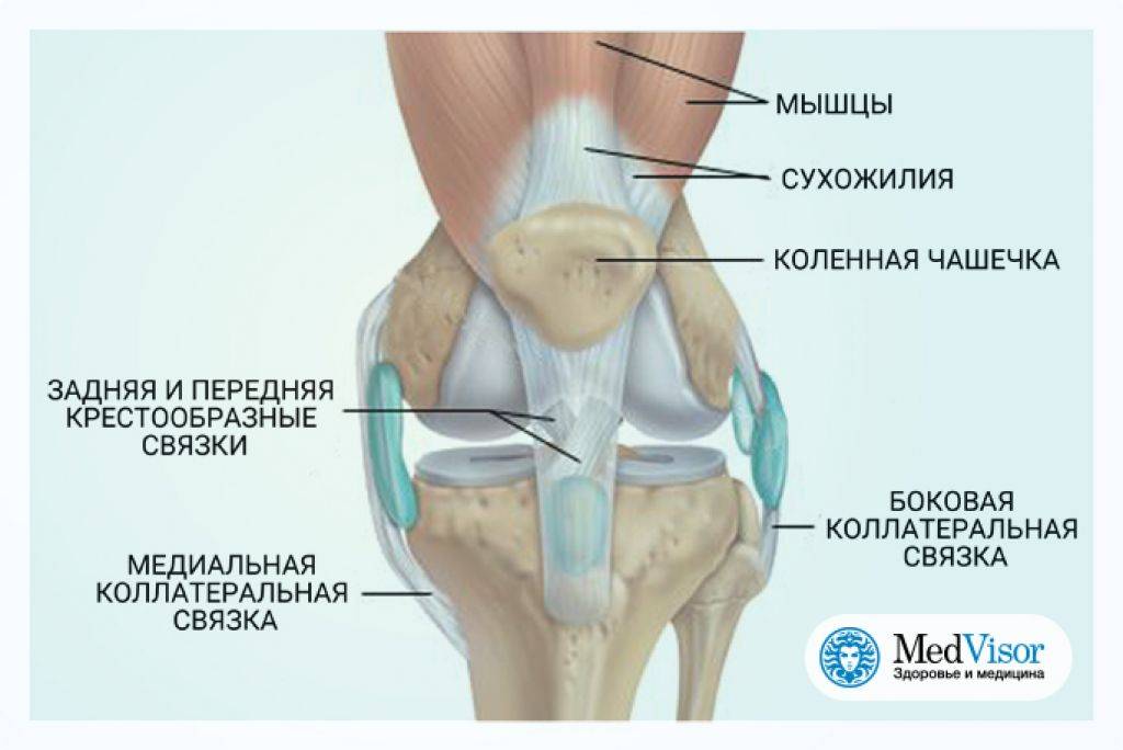 Методы укрепления коленных суставов и связок
