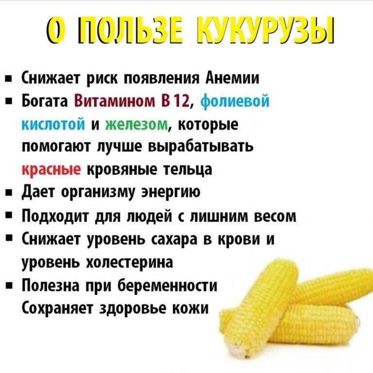 Кукуруза: калорийность, состав, польза, вред, рецепты
