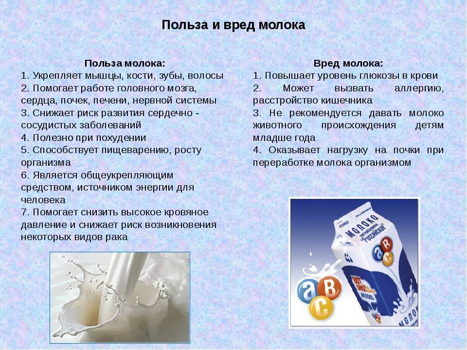 Худеем правильно: можно ли молоко при похудении?