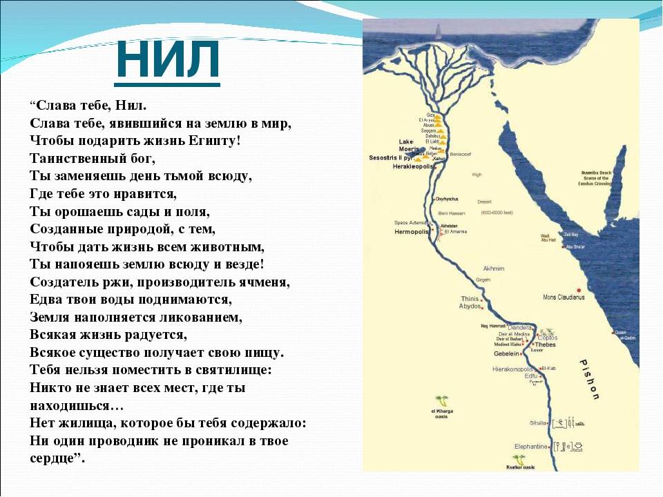 Река нил: где находится, в какой стране? - switki.ru