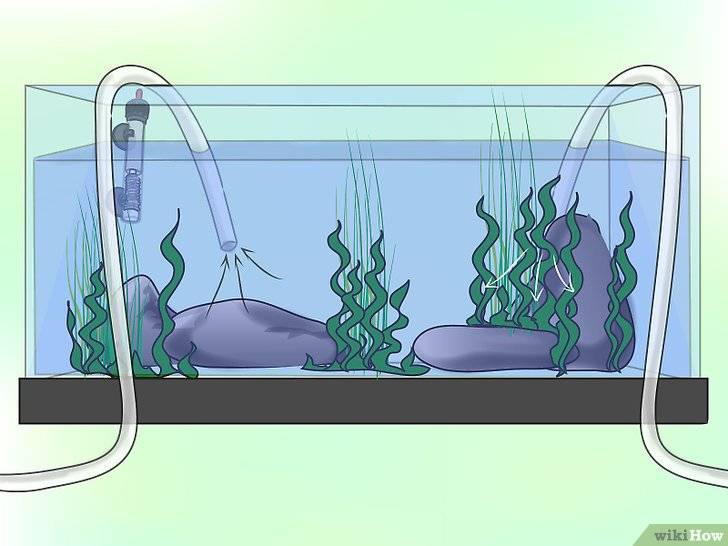 Как быстро и правильно подготовить воду для аквариума