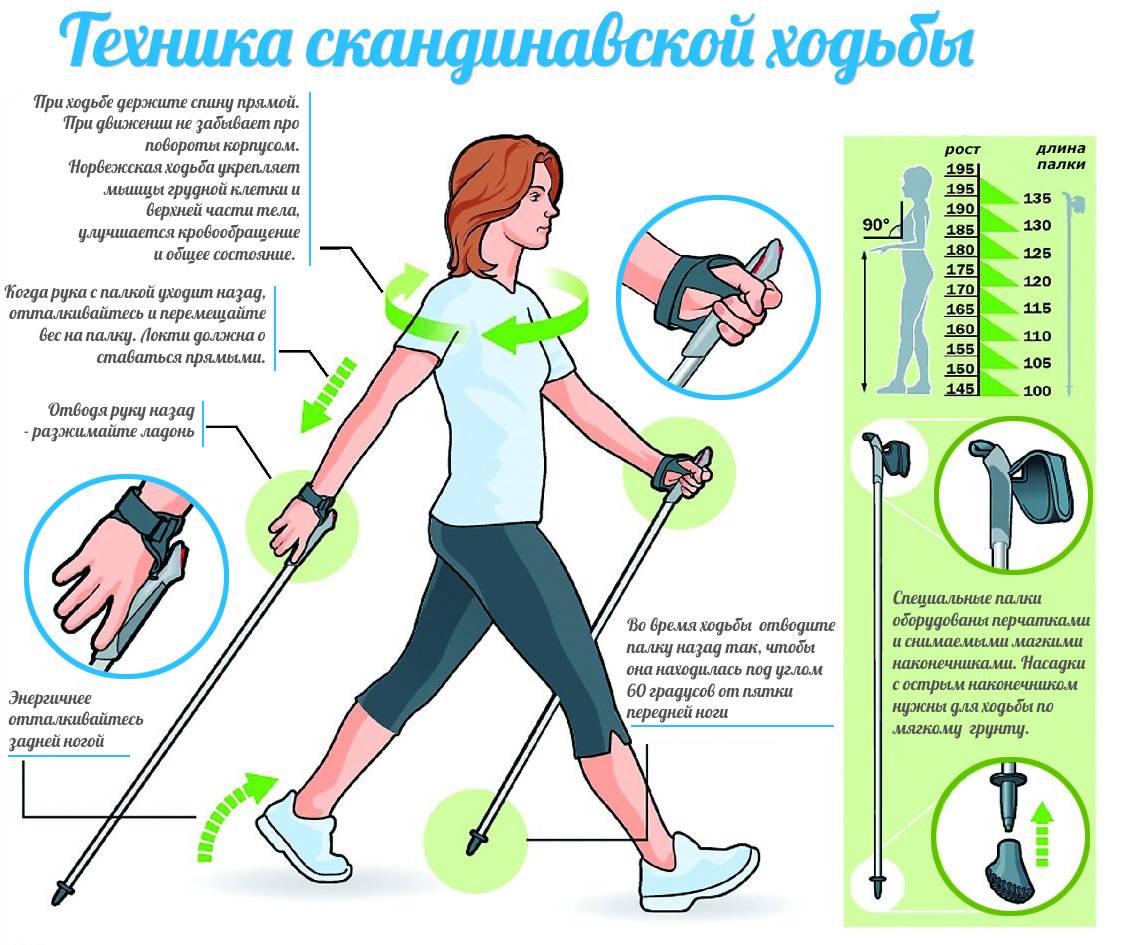 Скандинавская ходьба как один из методов лечебной физкультуры | статья в журнале «молодой ученый»