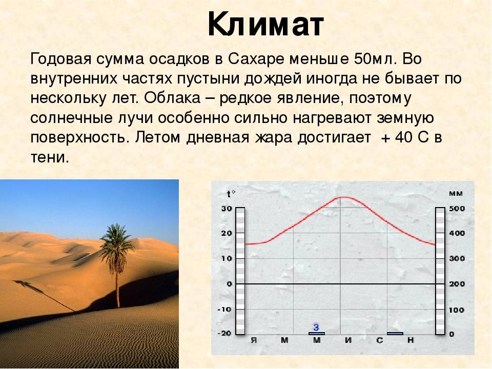 Пустыня сахара | география, история, температура воздуха