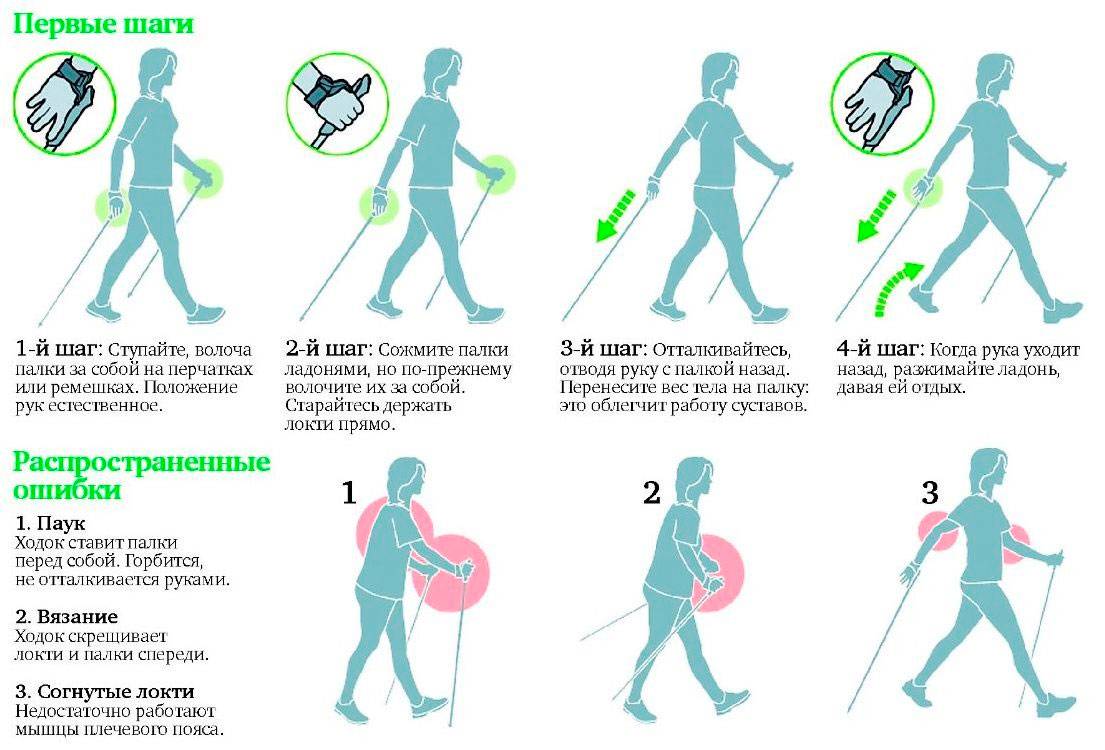 Скандинавская ходьба с палками – польза, противопоказания - уз «гродненская университетская клиника»