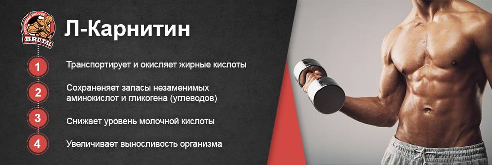Какой л-карнитин лучше: списки, изготовители, рейтинг лучших, состав, показания к применению и правила приема - tony.ru