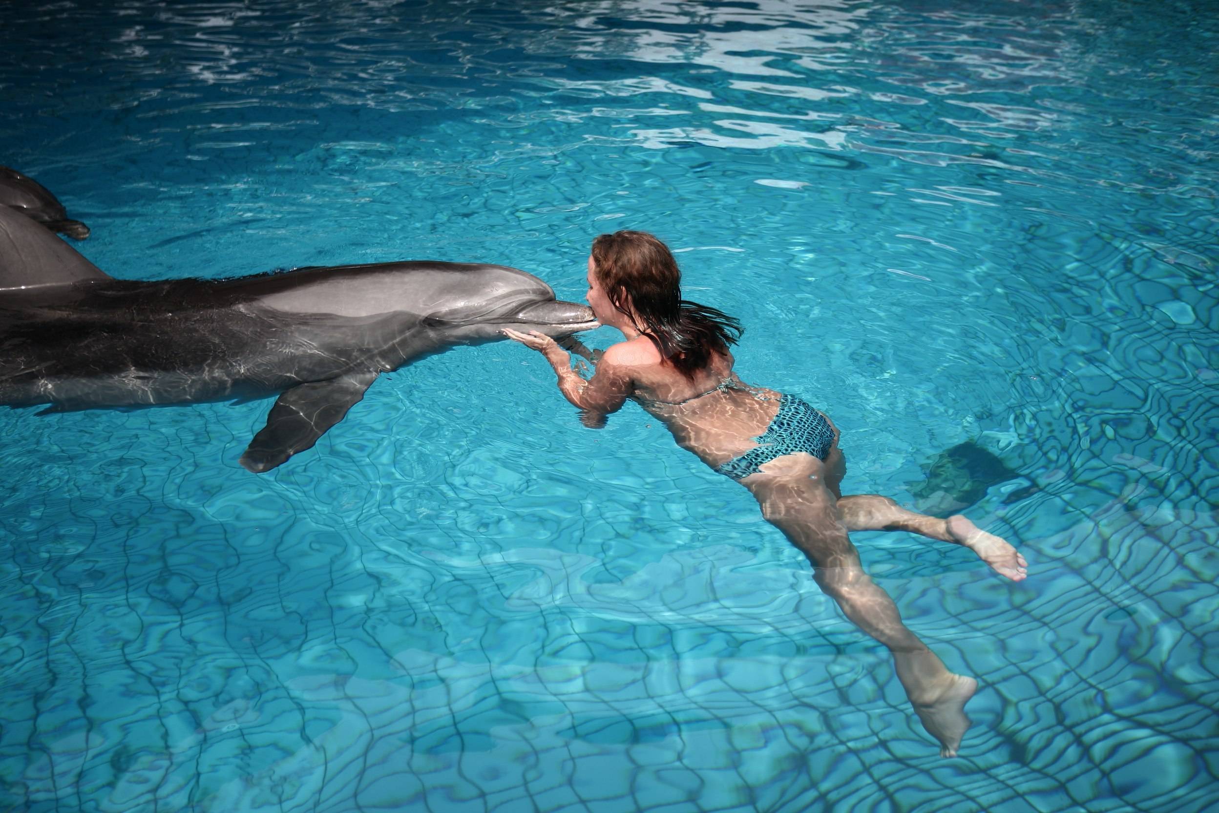 О дельфинотерапии. зачем людям плавать с дельфинами?