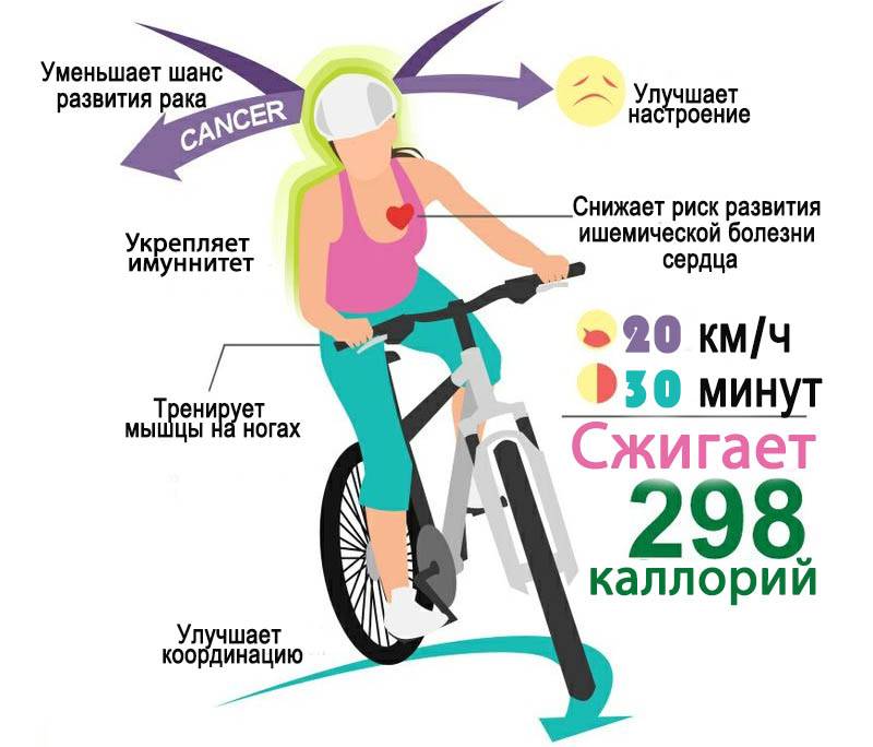 Какие мышцы качаются при езде на велосипеде