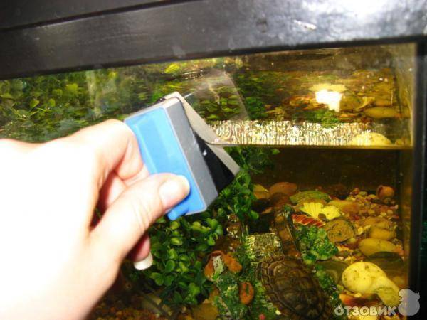 Как очистить мутную воду в аквариуме: как сделать воду прозрачной?