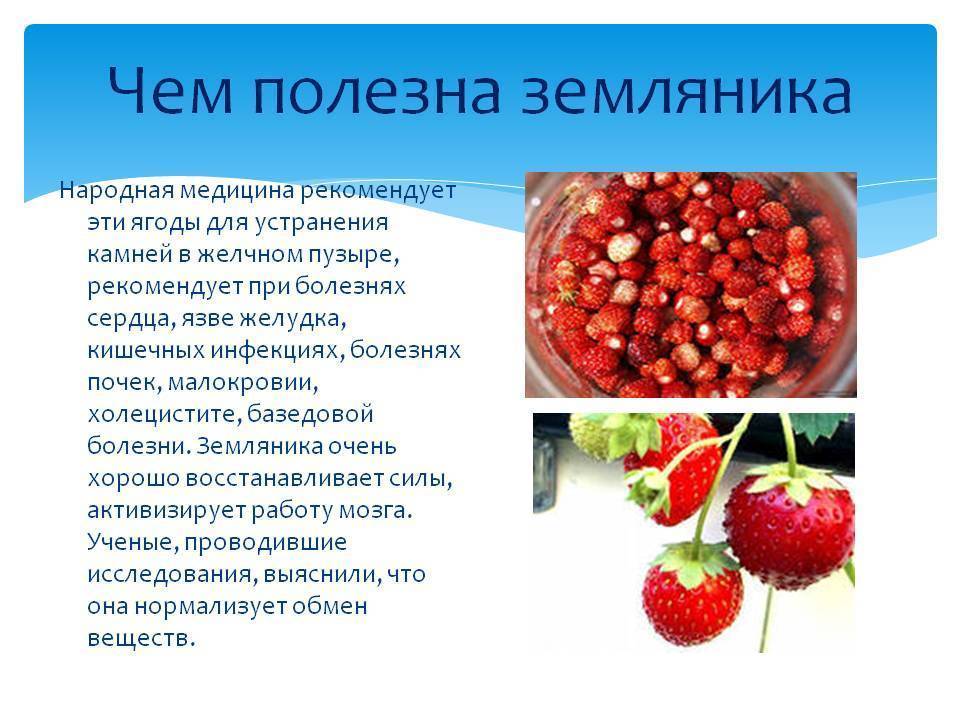Сладкая ягода клубника — калорийность и полезные свойства