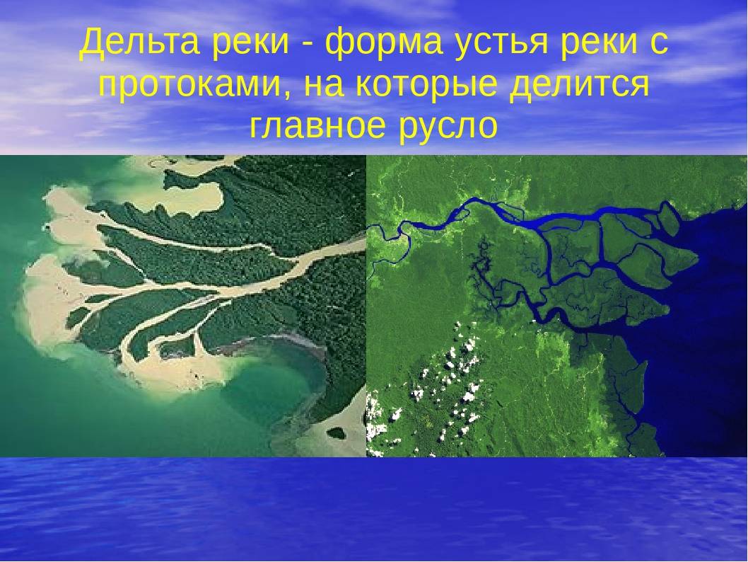 Река амур на карте, описание, бассейн реки, исток и устье